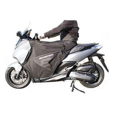 Tablier Bagster Boomerang Honda Forza 125 15-18