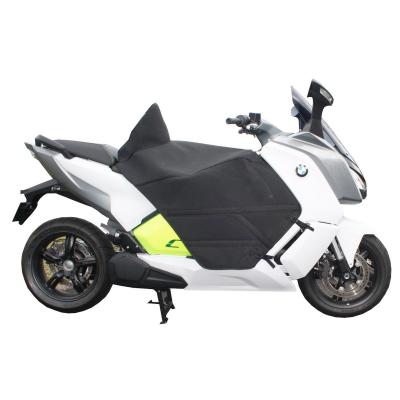 Tablier Bagster Briant BMW C Evolution 15-21