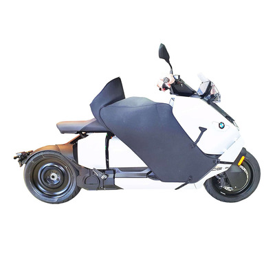 Tablier Bagster Briant BMW CE-04 22-26