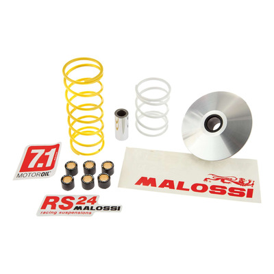 Variateur Malossi Multivar 2000 Honda Foresight 250 1998-03