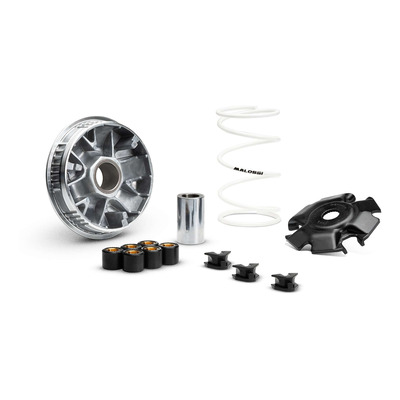 Variateur Malossi Multivar 2000 Piaggio Mp3 310 2025-