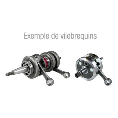 Vilebrequin renforcé Tecnium Peugeot Vivacity 2 50 2t E2 04-09