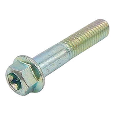 Vis de platine de frein Ø M8x40 mm YCF