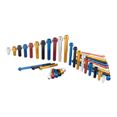 Vis Ergal Evotech TCCE tête conique ØM6x95 mm bleu