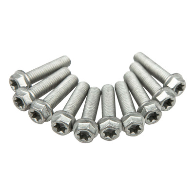 Vis tête hexagonale/Torx Bolt M6x1x25mm (10 pièces)