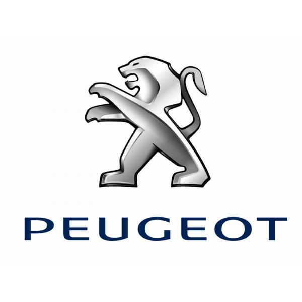 Pièces Peugeot - Accessoires Spécialiste Peugeot