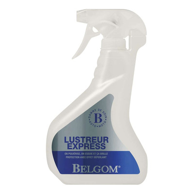 Lustreur Blegom Express 500ml