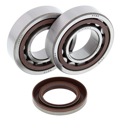 Kit Roulements et Joints SPI de Vilebrequin ALL BALLS RACING - KTM 250 EXC-F 08-13