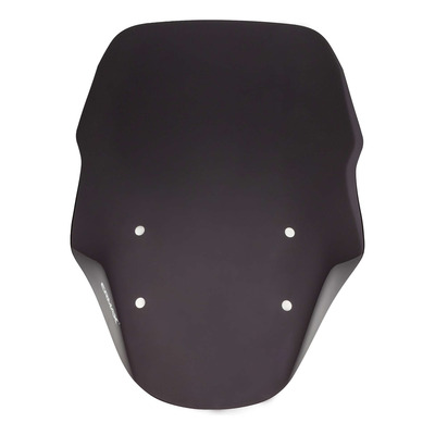 Pare-brise Touring Ermax 65 cm Piaggio MP3 350 HPE 18-22 noir clair