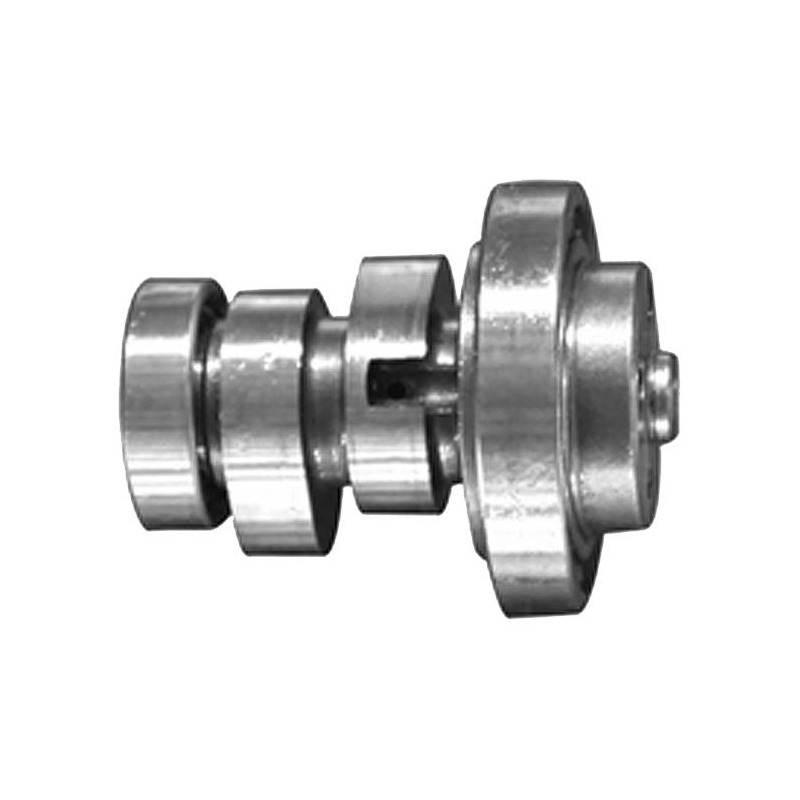 Arbre à cames YCF Daytona Anima 190/150 (sans compresseur)