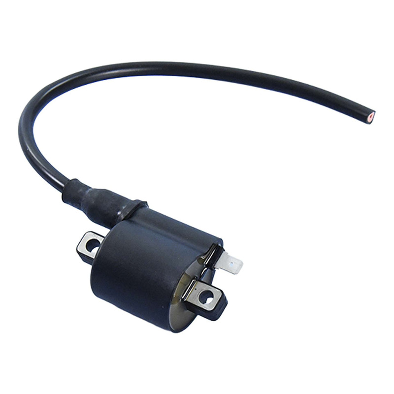 Bobine d'allumage digital Polini avec lumières Booster/BWs/Derbi Send