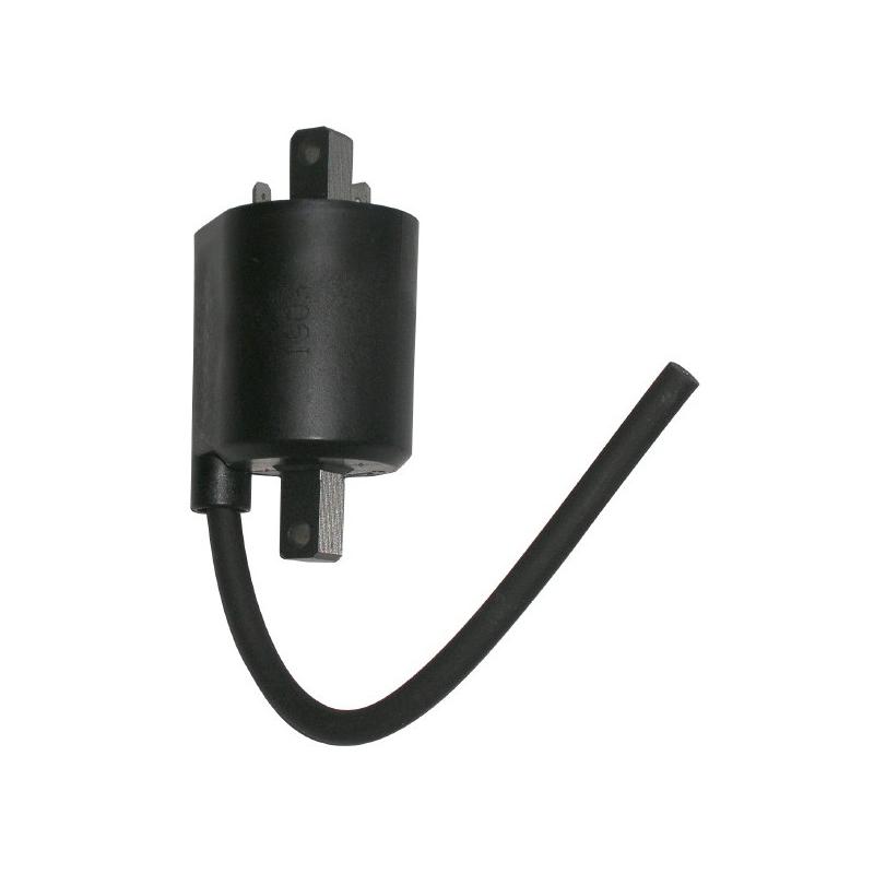 Bobine Yamaha Majesty 250