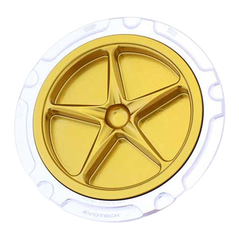 Bouchon de réservoir Evotech aluminium Or/Silver BMW R Nine T 1200 14