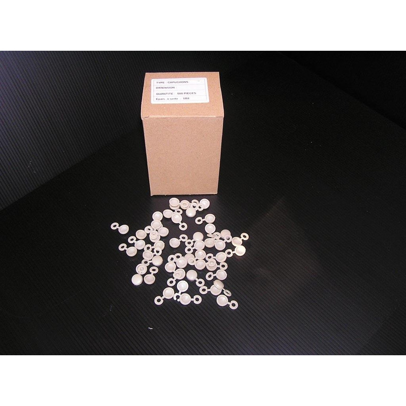 Caches rivets blancs x500