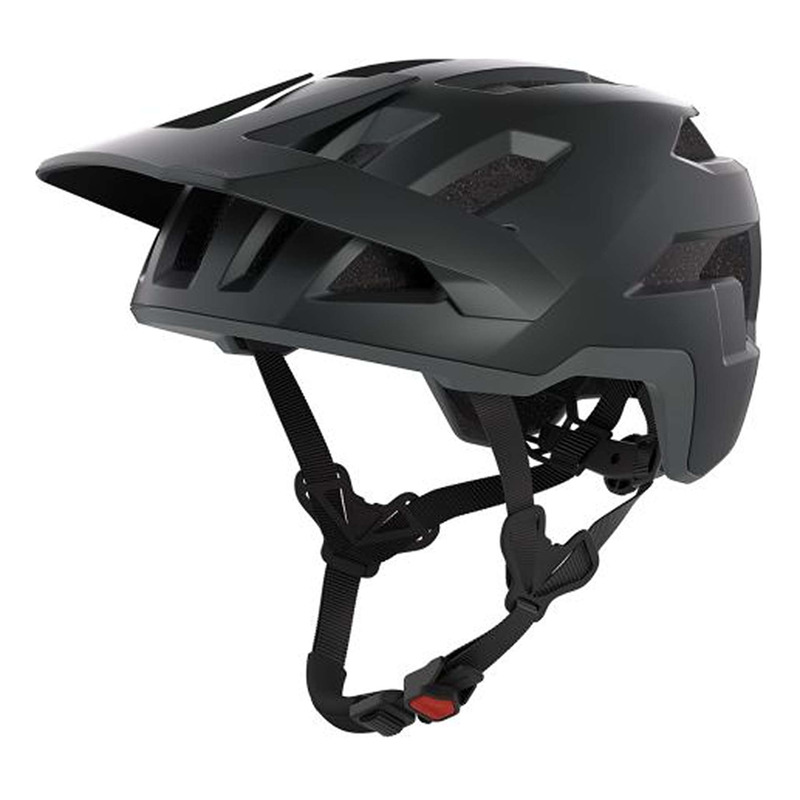 Casque vélo VTT Alpina Taunus Noir / gris mat