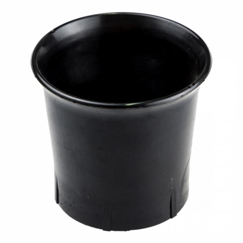 Cornet d’aspiration Dellorto PHF