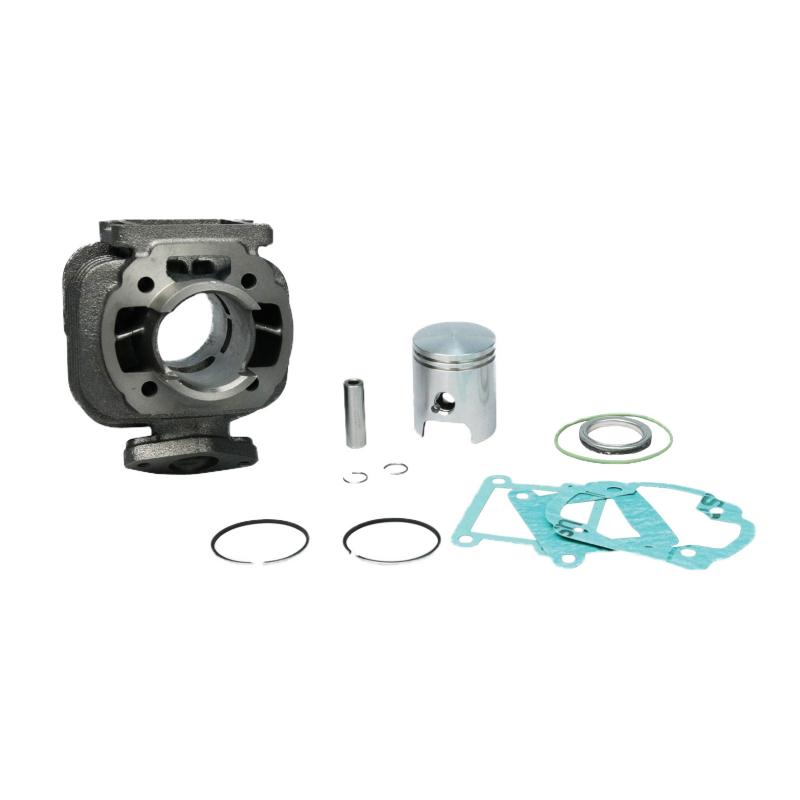 Cylindre Malossi Fonte Booster/BW’s