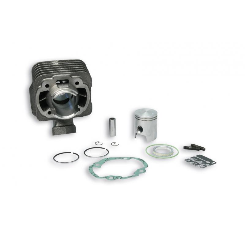 Cylindre Malossi Fonte Trekker