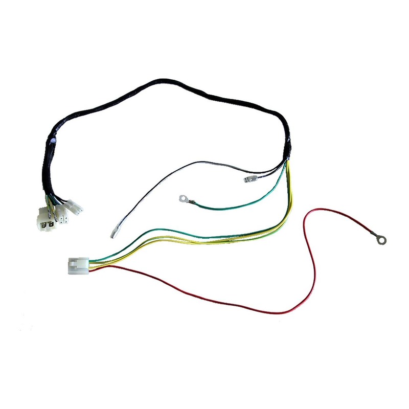 Faisceau électrique YCF Daytona Anima 190/150