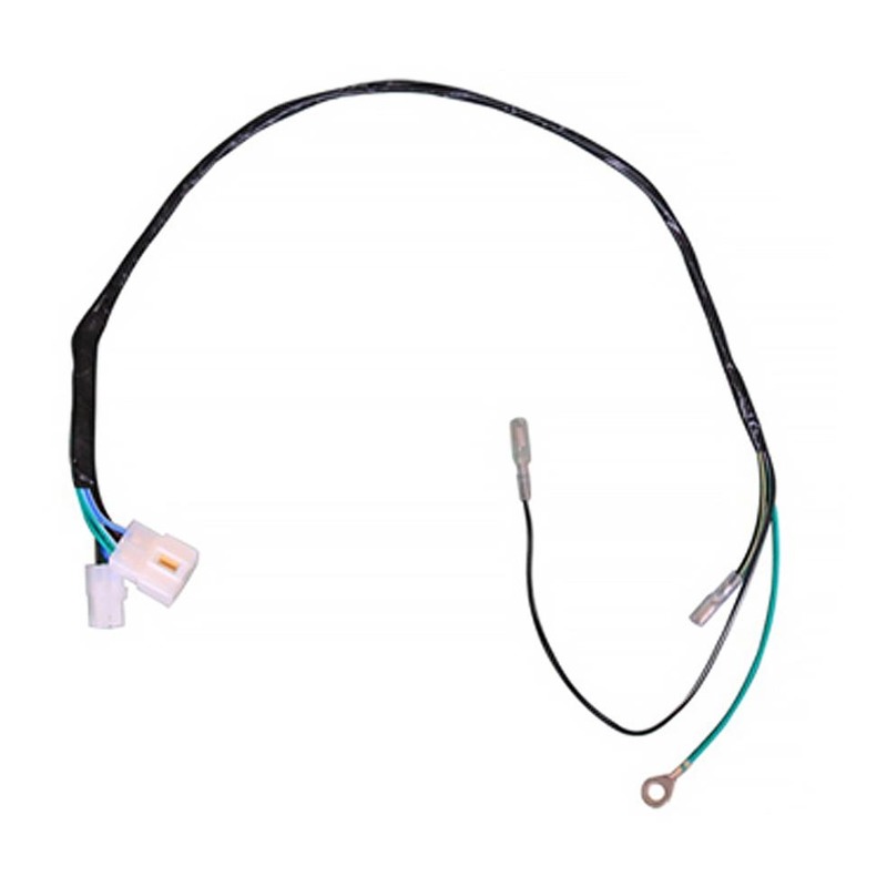 Faisceau électrique YCF Daytona Anima FDX 190/150/88