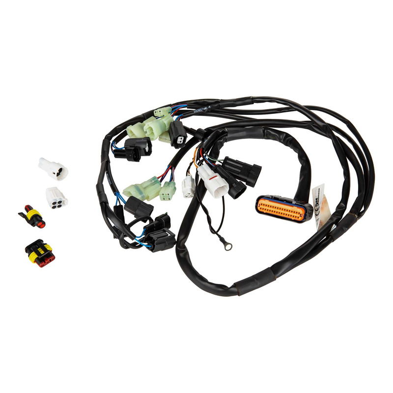 Faisceau RapidBike Evo / Racing F27-ER-086