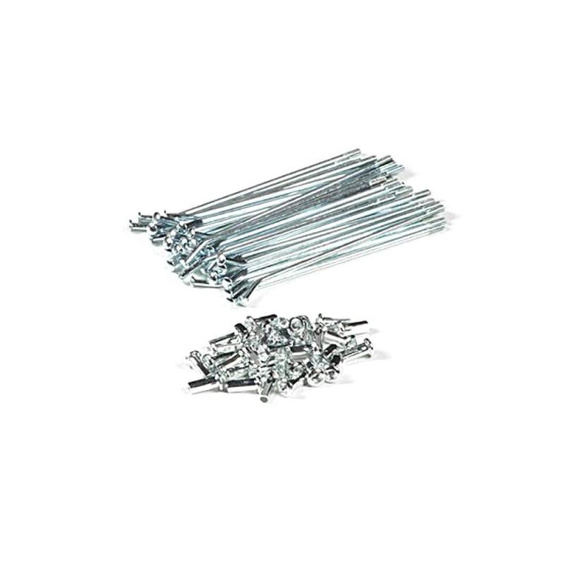 Jeu de rayons 12' YCF 28 rayons - Longueur 12cm