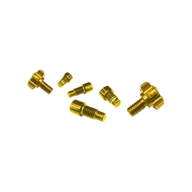 Kit 2 molettes et 4 vis pour leviers RMT F-Type Or