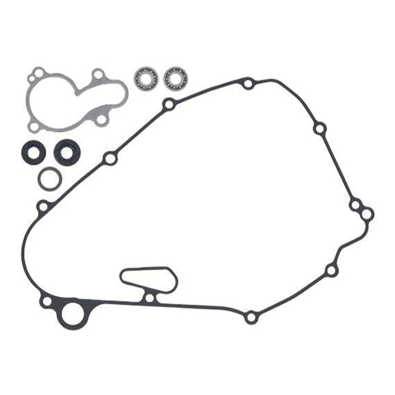 Kit Réparation de Pompe à Eau PSYCHIC -