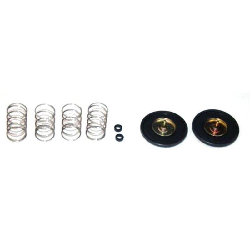 Kit reparation pompe enrichissement