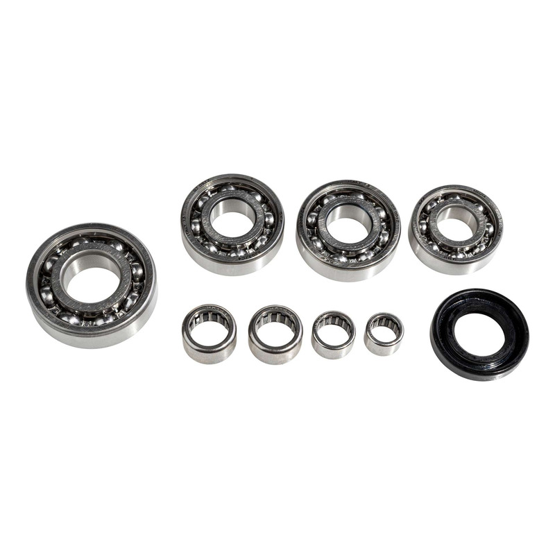 Kit roulements SKF de boite de vitesse AM6