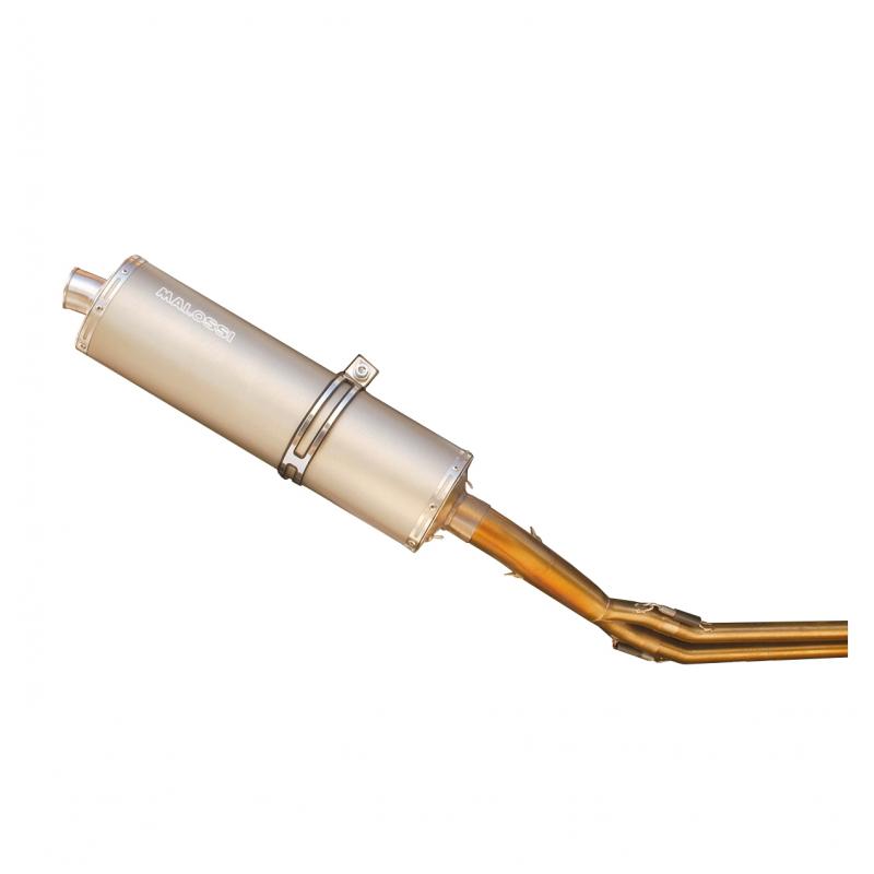 Pot Malossi maxi wild lion homologué T-Max <2008