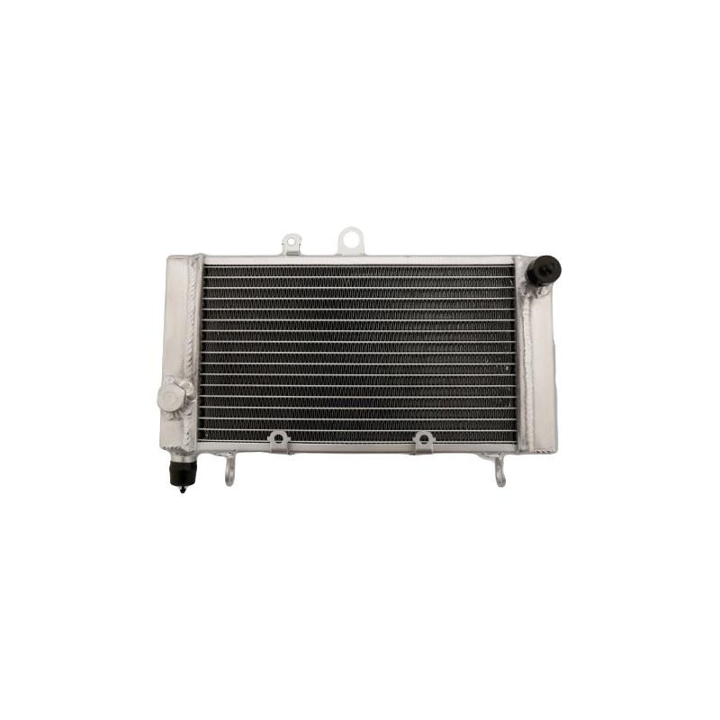 Radiateur d’eau Brazoline Honda CBF 500 04-07