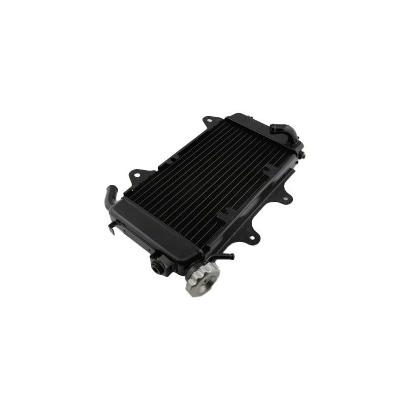 Radiateur d’eau Brazoline KTM Duke 125 15-16