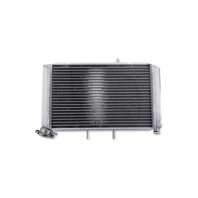Radiateur d’eau Brazoline Triumph Tiger 800 11-14