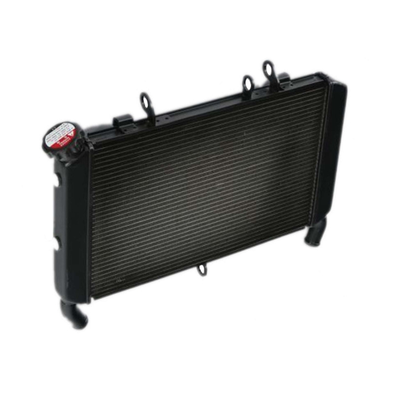 Radiateur dâ  eau Yamaha MT-09 16-21