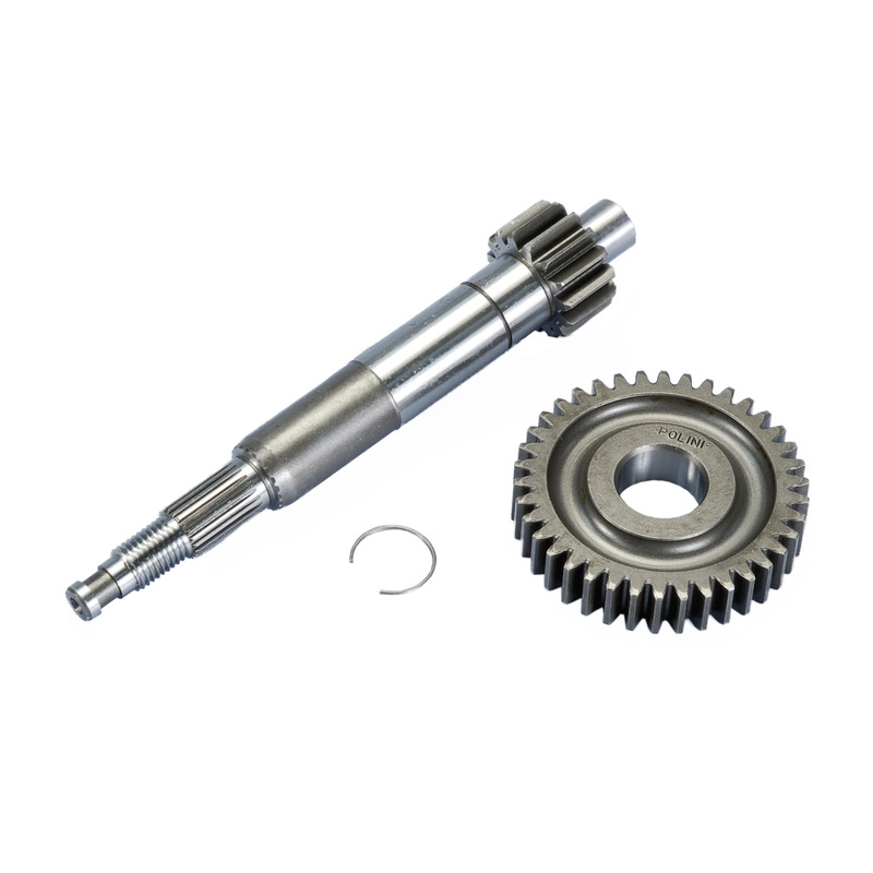 Rapport allongÃ© Polini Piaggio zip sp m.2000