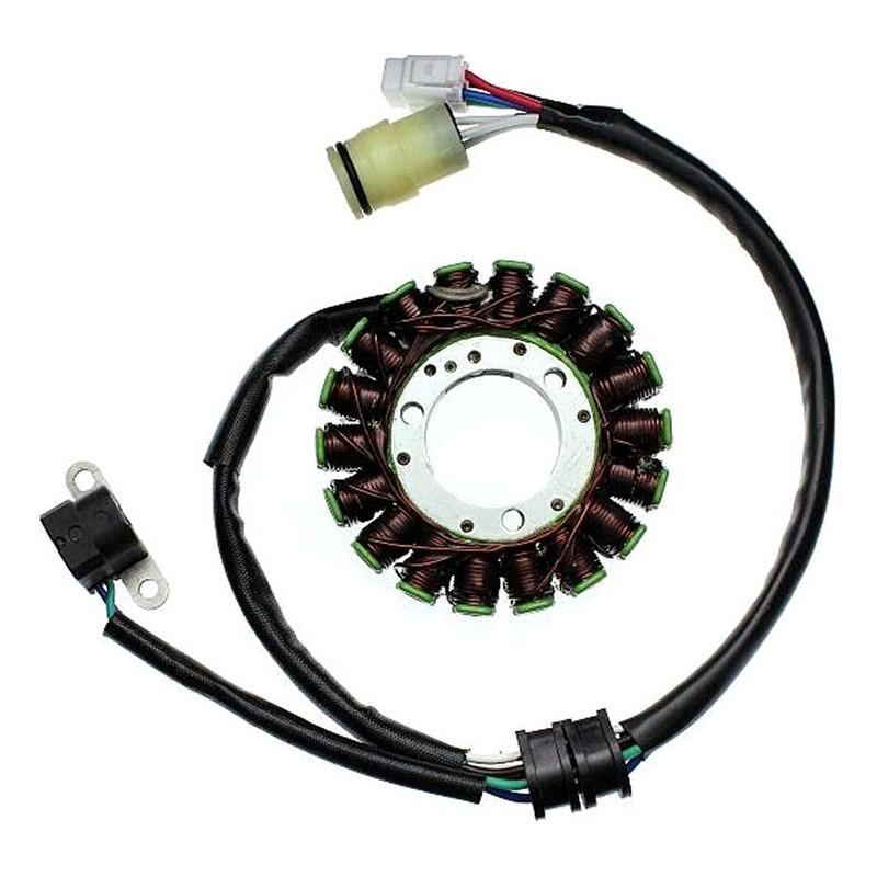 Stator d'allumage Electrosport Yamaha YFM 250 Bruin 05-06