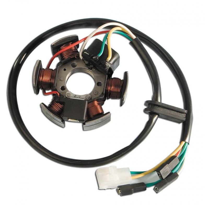 Stator Kokusan Derbi Senda 2006