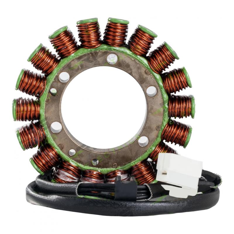 Stator Rick’s Motorsport Electric Ducati Monster 696 11-12