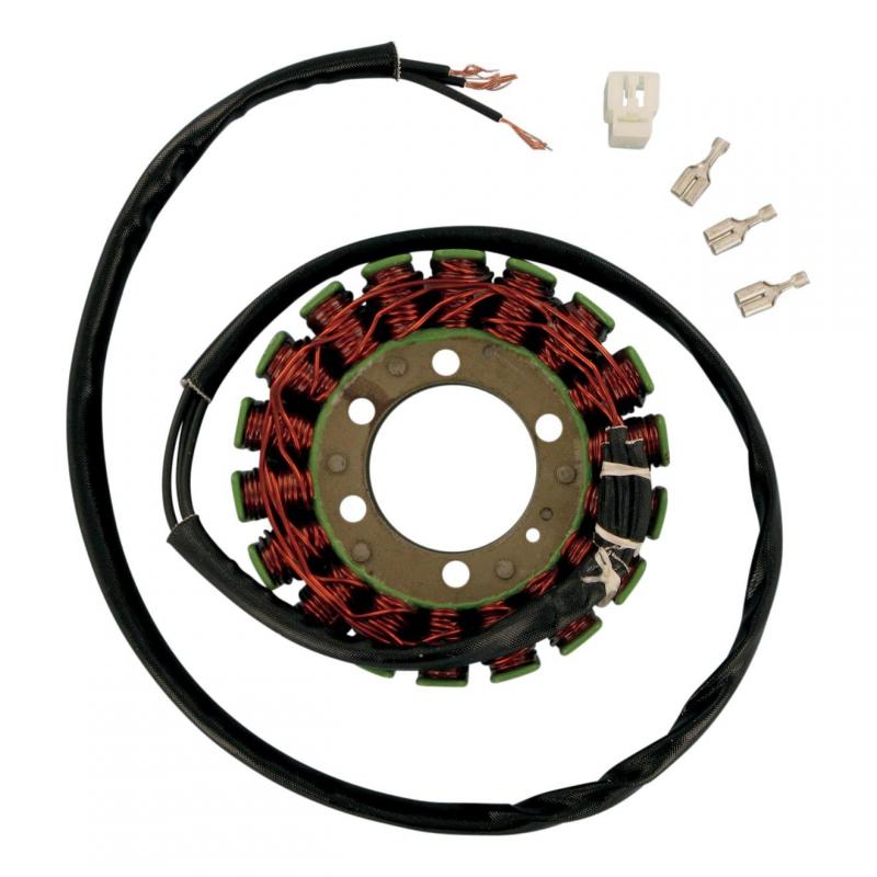 Stator Rick’s Motorsport Electric Honda VF 750 C Magna 94-02
