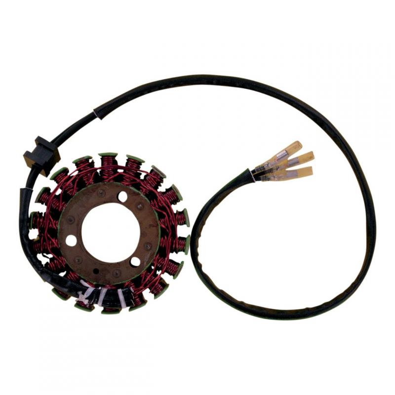 Stator Rick’s Motorsport Electric Kawasaki VN 750 Vulcan 94-95