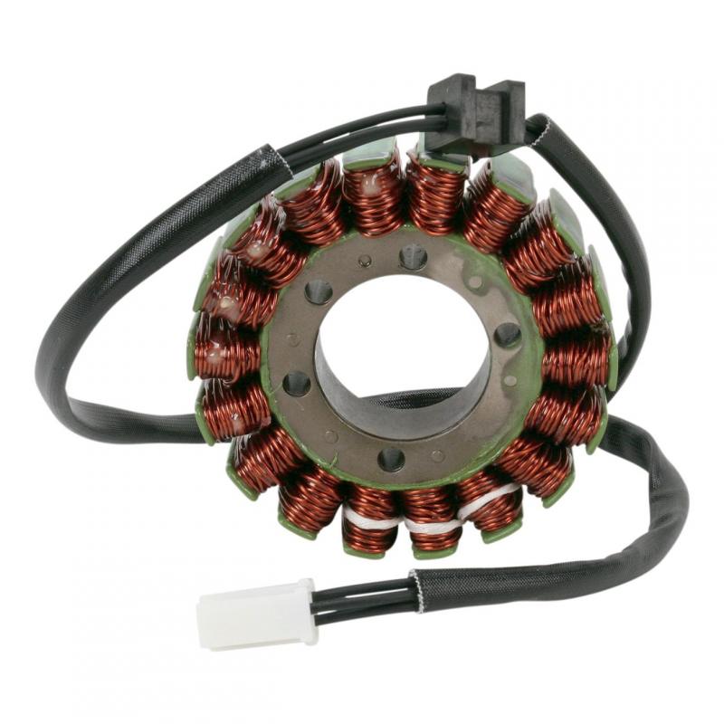 Stator Rick’s Motorsport Electric Kawasaki VN 800 Classic 96-05