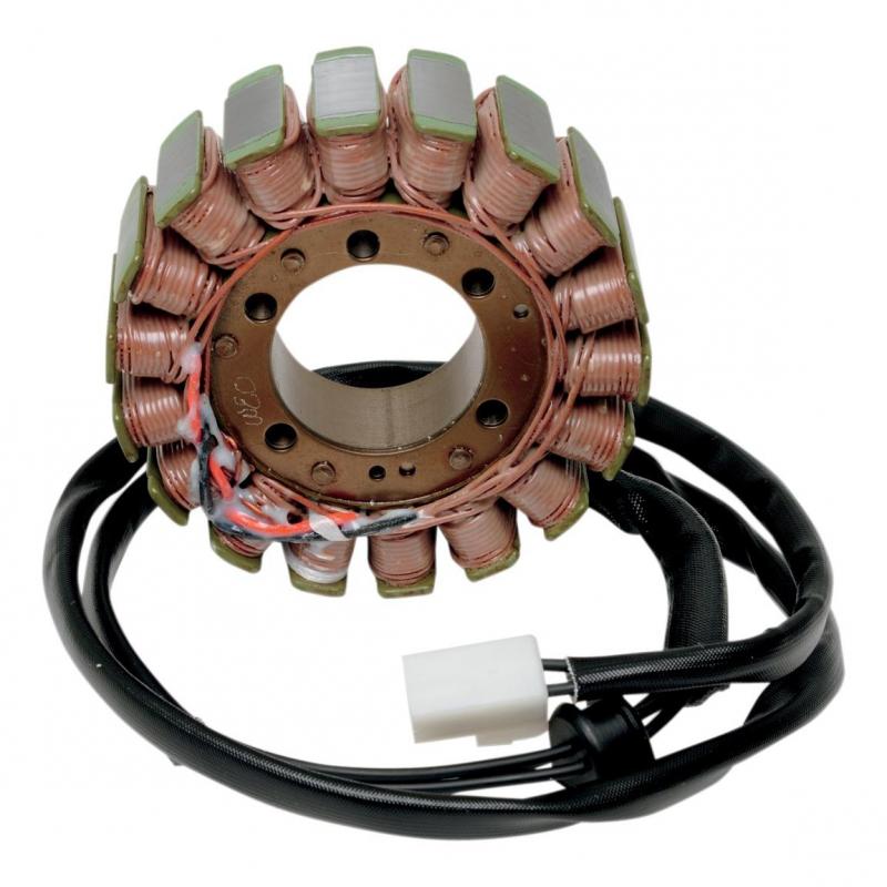 Stator Rick’s Motorsport Electric Ø 107,5 mm Ducati ST2 944 00-03
