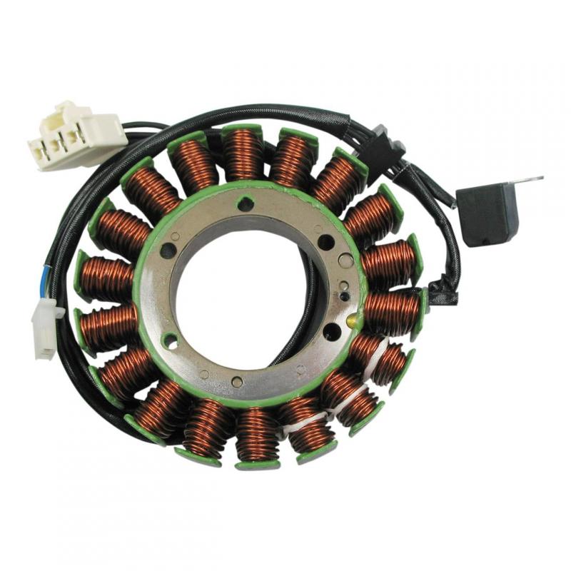 Stator Rick’s Motorsport Electric Suzuki AN 650 Burgman 03-12