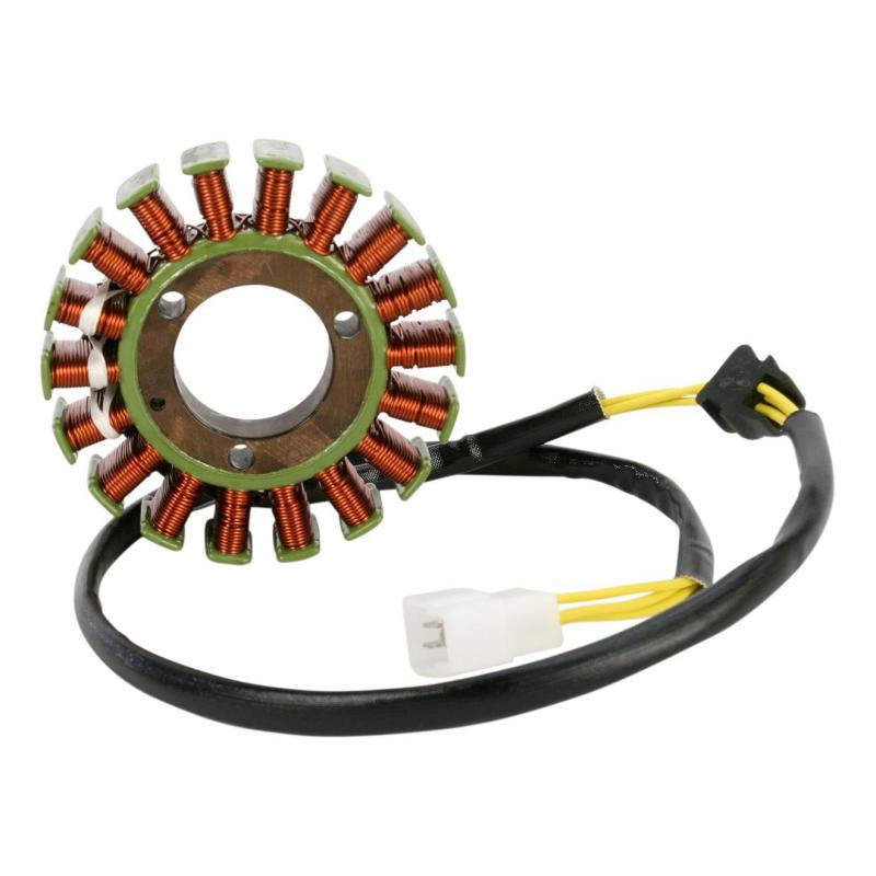 Stator Rick’s Motorsport Electric Suzuki GN 250 85-88