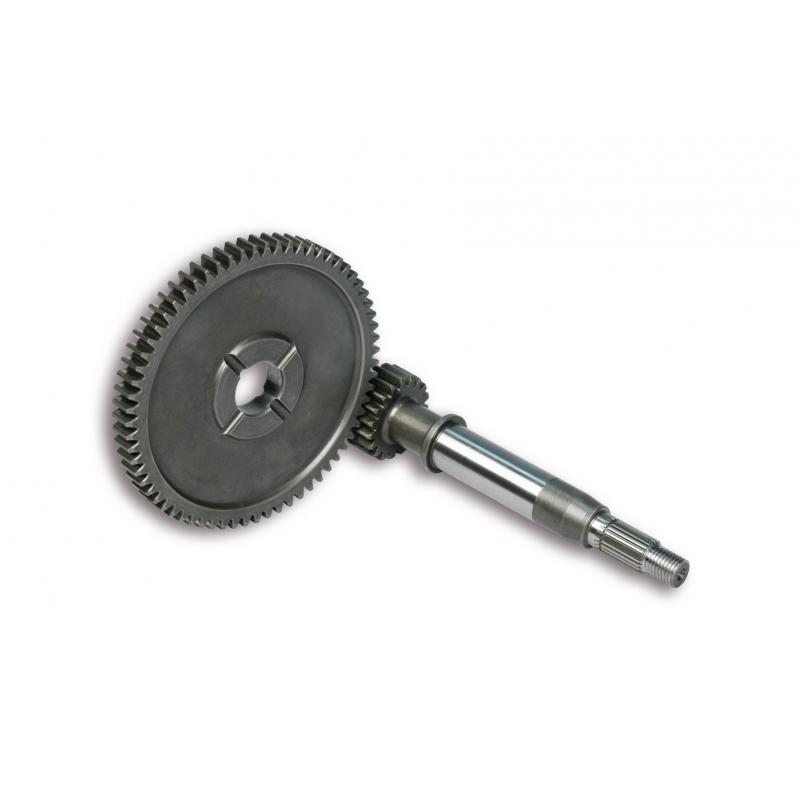 Transmission primaire Malossi HTQ 16/57 Agility R16/People