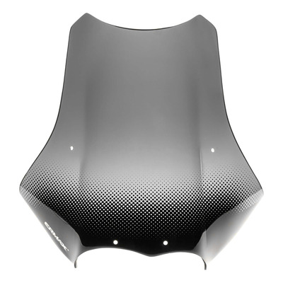 Pare-brise Ermax haute protection 45 cm (+15 cm) BMW R 1200 GS 04-12 noir clair