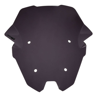 Bulle Ermax Sport 49 cm BMW R 1250 RS 19-25 noir clair