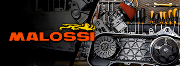 Pièces et accessoires Malossi