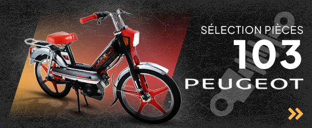 Sélection pièces Peugeot 103